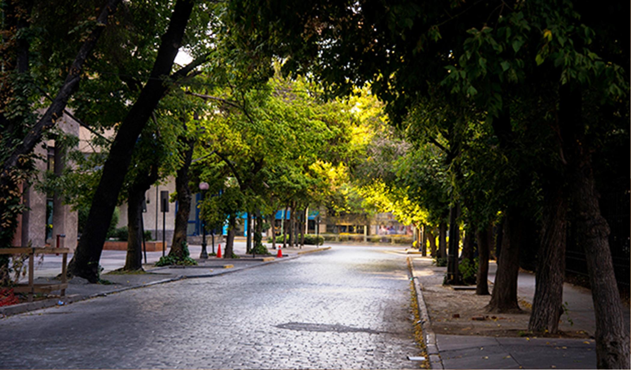 Solace Hotel Santiago de Chile Eksteriør billede A street in the neighborhood