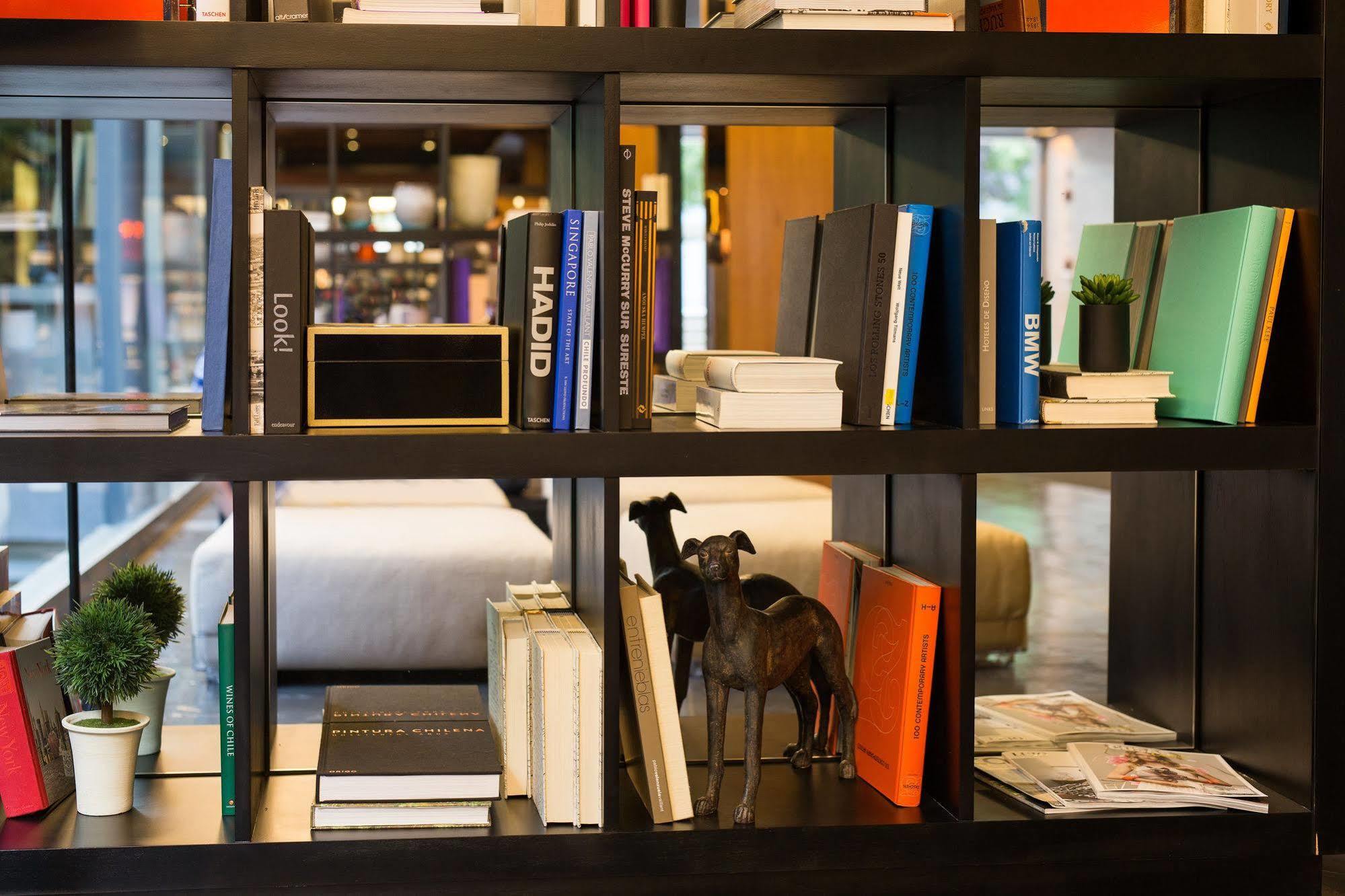 Solace Hotel Santiago de Chile Eksteriør billede A dog in a library